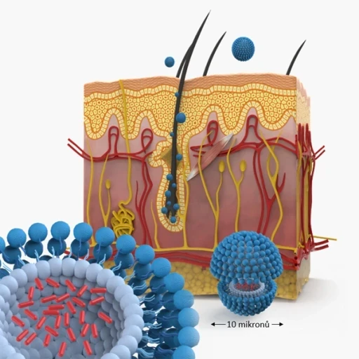 nanosom-technology-aurio-1-1-22e